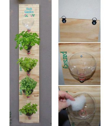 13 Plastikflasche Vertical Garden Idee, Sodawasserflasche Garten, Balkon Garten Web