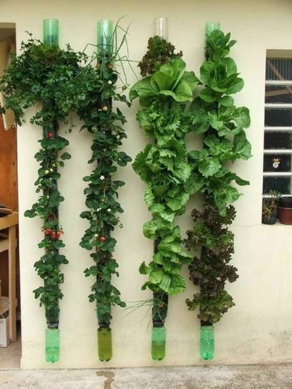 13 Plastikflasche Vertical Garden Idee, Sodawasserflasche Garten, Balkon Garten Web