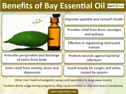 15 überraschende Vorteile von Bay Ätherisches Öl, Bio-Fakten