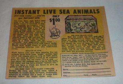 16 Faits étonnants à propos de Sea-Monkeys, Mental Floss
