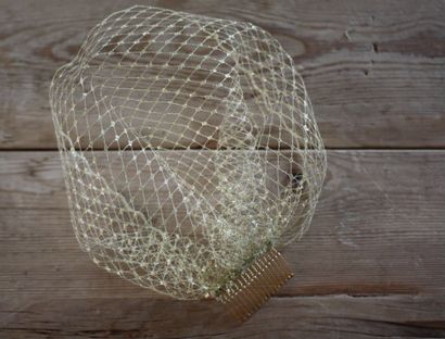 17 Apart Wie ein DIY Birdcage Veil für Ihre Hochzeit Make To