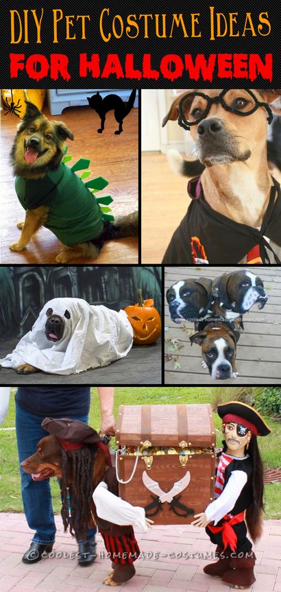 20 adorables bricolage pour animaux Idées costume pour Halloween 2017