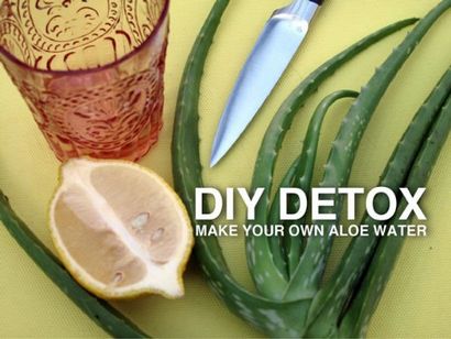 20 délicieux Detox Waters pour nettoyer votre corps et brûler les graisses - Bricolage - Artisanat