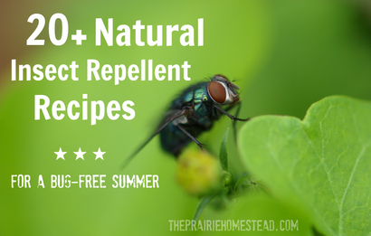 20 insectifuge faits maison, Recettes La Prairie Homestead (Без кейворда) 20 insectifuge Recettes faites maison, La Prairie Homestead