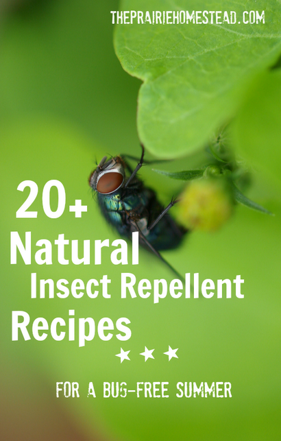 20 insectifuge faits maison, Recettes La Prairie Homestead (recettes) 20 insectifuge Recettes faites maison, La Prairie Homestead