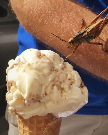 25 Les aliments frits de la Foire d'État du Texas, Mental Floss