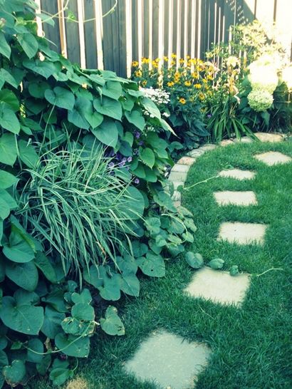 25 Garden Bed Borders, Edging Ideen für Gemüse- und Blumengärten