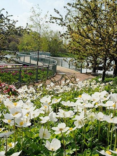 25 Garden Bed Borders, Edging Ideen für Gemüse- und Blumengärten