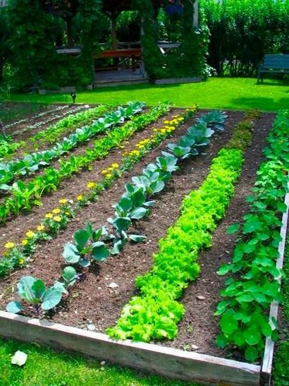 25 Garden Bed Borders, Edging Ideen für Gemüse- und Blumengärten