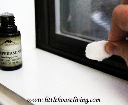 25 utilisations incroyables pour l'huile de menthe poivrée pour votre maison