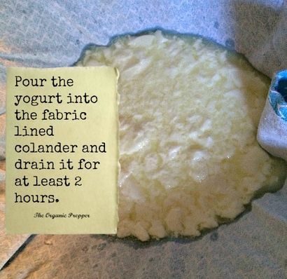 2 einfache Möglichkeiten, hausgemachten Joghurt Make - The Organic Prepper