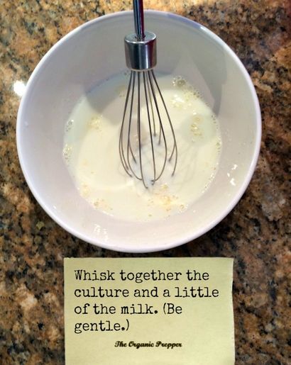 2 einfache Möglichkeiten, hausgemachten Joghurt Make - The Organic Prepper