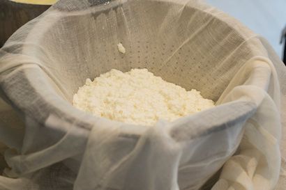 2 façons de faire de fromage à la crème maison en seulement 2 étapes - Cultures pour la santé
