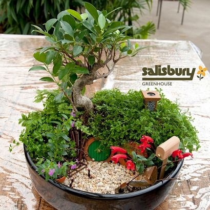 30 idées de bricolage Comment faire Fairy Garden, Architecture - Design