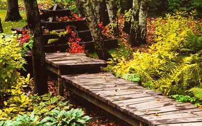 30 idées pour la conception verte de magnifiques sentiers de jardin en bois