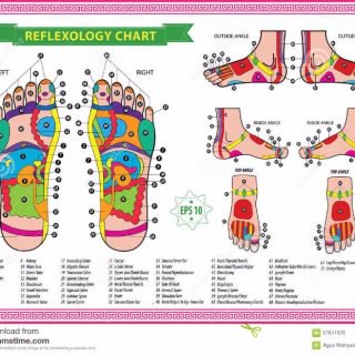 31 Druck Fußreflexzonenmassage Charts - Karten - Schablone Lab