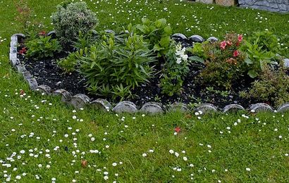 37 Kreative Rasen und Garten Edging Ideen mit Bilder - Gepflanzt Well