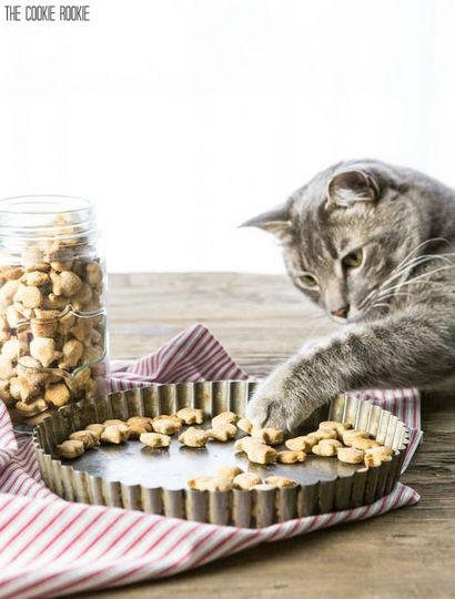 3 friandises Cat Salmon Ingrédient (friandises) 3 saumon Cat Treats Ingrédient
