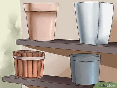 3 façons de développer Clematis dans les pots