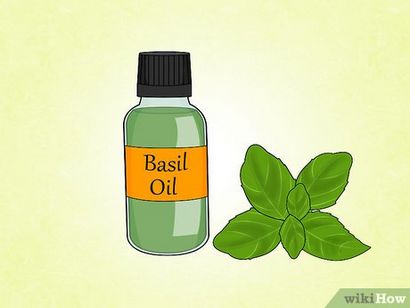 3 façons de faire Natural Outdoor Fly Repellent aux huiles essentielles