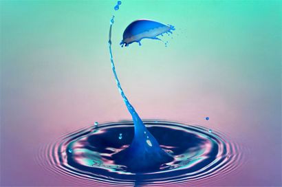 40 Exemples étonnants de Liquid Art Photographie (photographie) 40 Exemples étonnants de Liquid Art Photographie
