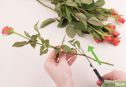 4 Möglichkeiten, um frische Blumen Last Longer