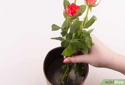 4 façons de faire des fleurs fraîches durent plus longtemps