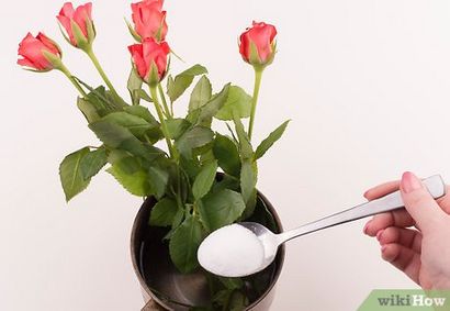 4 façons de faire des fleurs fraîches durent plus longtemps