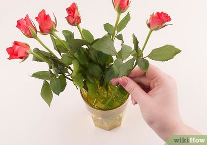 4 façons de faire des fleurs fraîches durent plus longtemps