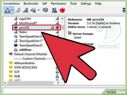 4 Möglichkeiten, Teamspeak zu verwenden