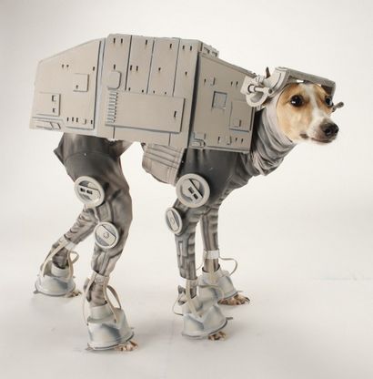 5 Super Star Wars Hundekostüme
