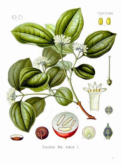 5 classique Poisons et les gens qui les ont utilisés, Mental Floss (utilisé) 5 classique Poisons et les gens qui les ont utilisés, Mental Floss