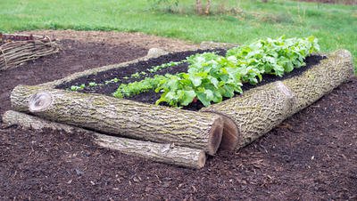 5 Jardin des lits surélevés pour bâtir ton avenir en demi-journée, la vie organique de Rodale