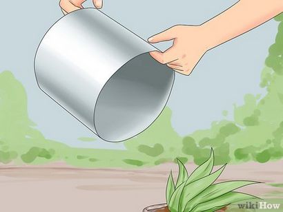 5 façons de faire un thé de compost