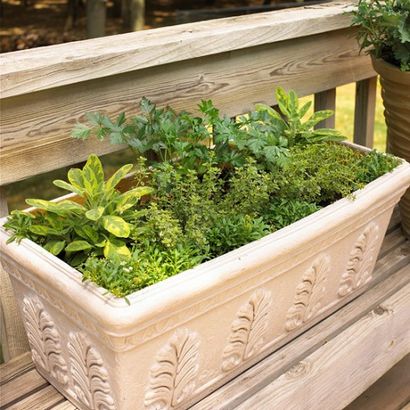65 Inspiring DIY Herb Gardens