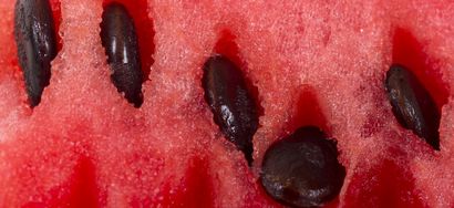 6 Nutzen für die Gesundheit der Wassermelone Saft und wie man es machen