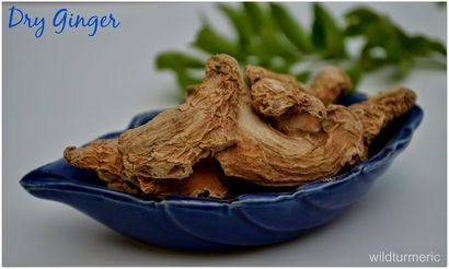 6 Medicinal Benefits & amp; Verwendet von Sukku, Dry Ginger, Sonth für Gesundheit, Haut & amp; Haar, wildturmeric