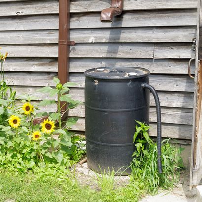 6 Methoden zum Ernteregenwasser - Homesteading und Viehzucht - Mutter Erde Nachrichten