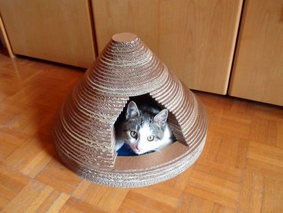 7 Maisons de bricolage Cat Vous pouvez faire un week-end, faire