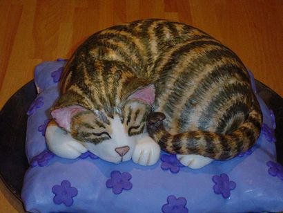 8 des gâteaux Cutest Cat (mignon) 8 des gâteaux Cutest Cat