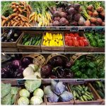 Abmas agricole, marché et à effet de serre, Abmas Ferme Wyckoff, NJ (zoo) Abmas agricole, marché et à effet de serre, Abmas Farm Wyckoff, NJ