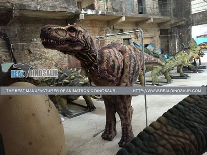 Adulte Marionnettes réaliste Costume de dinosaure T-Rex Pieds cachés vendre