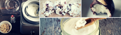 Almond Joy Ice Cream Recette - Comment faire Frozen bonbons crème glacée - sur le gaz, la Science Art - (faire) Almond Joy Ice Cream Recette - Comment faire Frozen bonbons crème glacée - sur le gaz, la Science Art -
