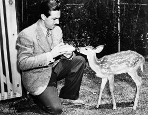 Nature Animer The Making of Bambi, Oh My Disney