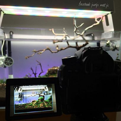 Aquarium Photographie Tutoriel pour Aquascaping, ScapeFu