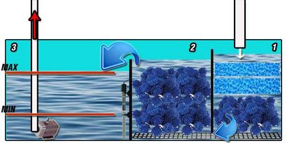 Filtre Aquarium Puisard, la meilleure filtration pour les réservoirs de poissons très grands