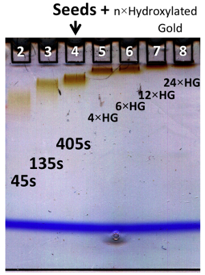 Eine einfache Methode für die Größe kontrollierten Synthese von Stable oligomere Cluster of Gold