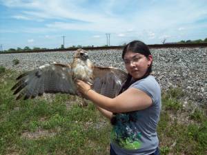 Août 2011, un apprenti Austringer à Laredo