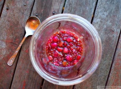 Automne, enfin et maison Lilly Pilly Liqueur - Rambling Tart (homebrew) Automne, enfin et maison Lilly Pilly Liqueur - Rambling Tart