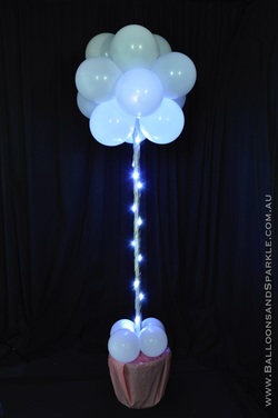 Ballon Topiary Dekor - Luftballons und Sparkle Brisbane Australien